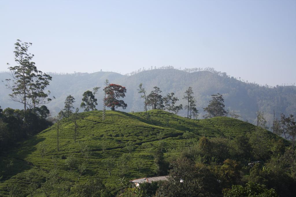 Richard Homestay Ella Exterior photo